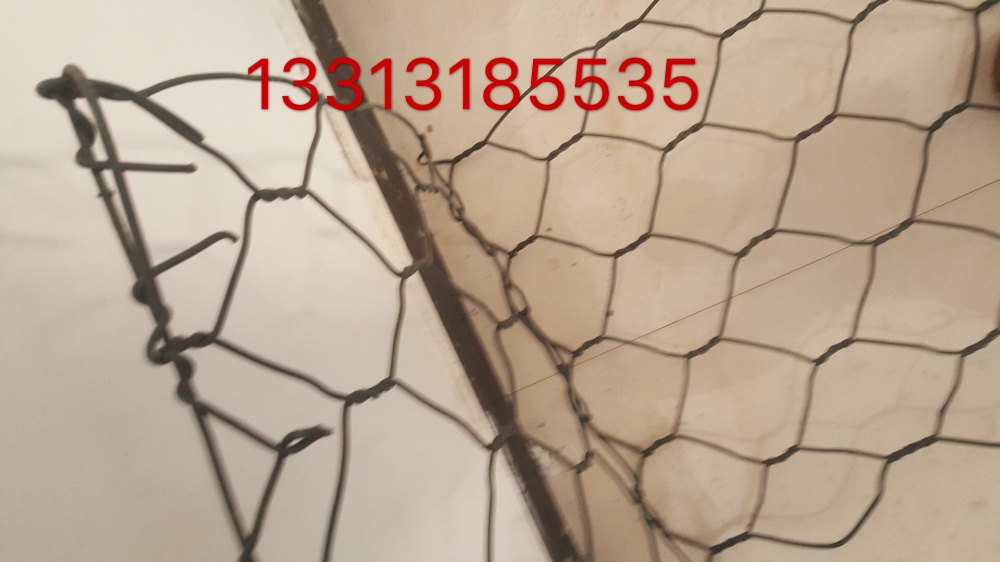 菠萝在线视频简介 