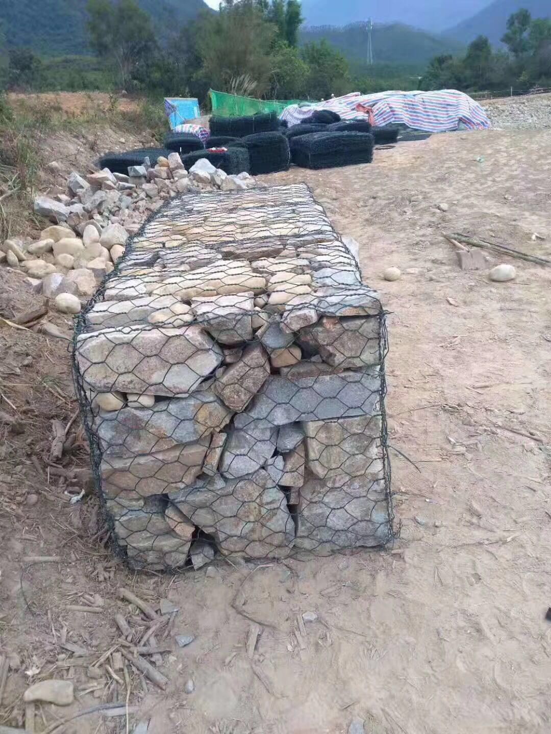 格宾菠萝福利导航的特性 